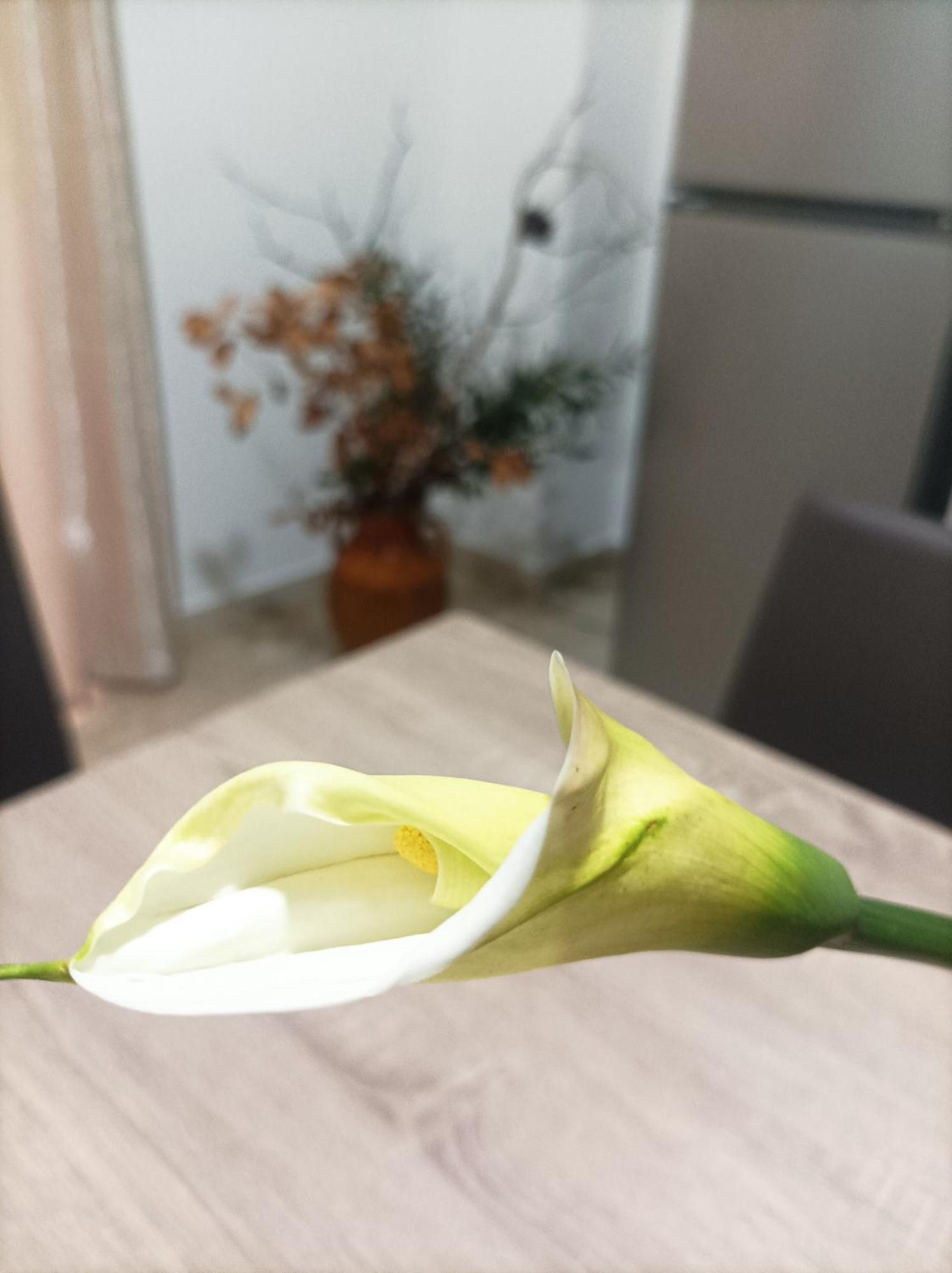 L'Ulivo Apartment มาสซาฟรา ภายนอก รูปภาพ
